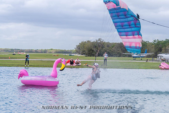 NKP-Flamingo Fest 2026-NKP03299
