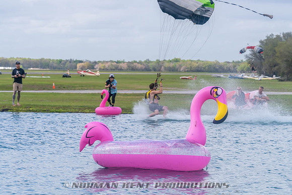 NKP-Flamingo Fest 2026-NKP03308