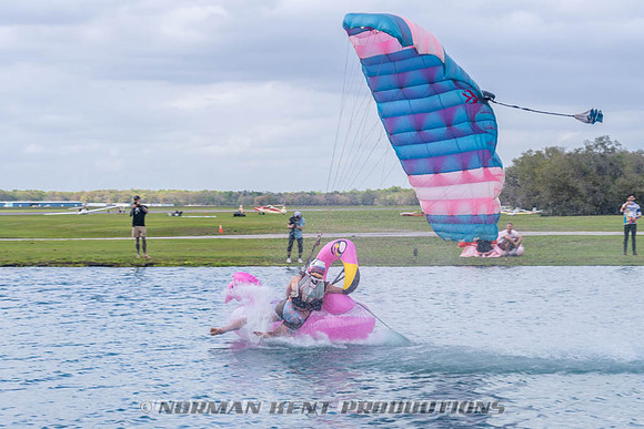 NKP-Flamingo Fest 2026-NKP03300