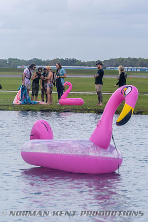NKP-Flamingo Fest 2026-NKP03324