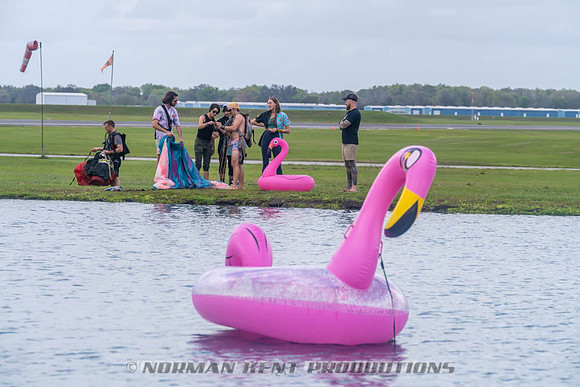 NKP-Flamingo Fest 2026-NKP03320