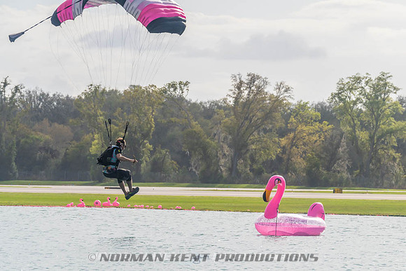 NKP-Flamingo Fest 2026-NKP03367