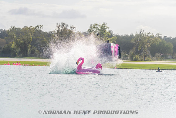 NKP-Flamingo Fest 2026-NKP03370
