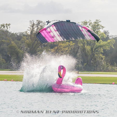 NKP-Flamingo Fest 2026-NKP03369