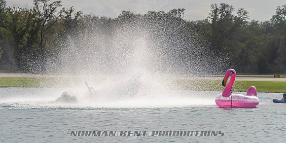 NKP-Flamingo Fest 2026-NKP03381