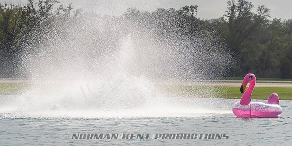 NKP-Flamingo Fest 2026-NKP03380