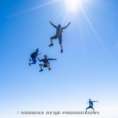NKP-Flamingo Fest 2026-NKP09068