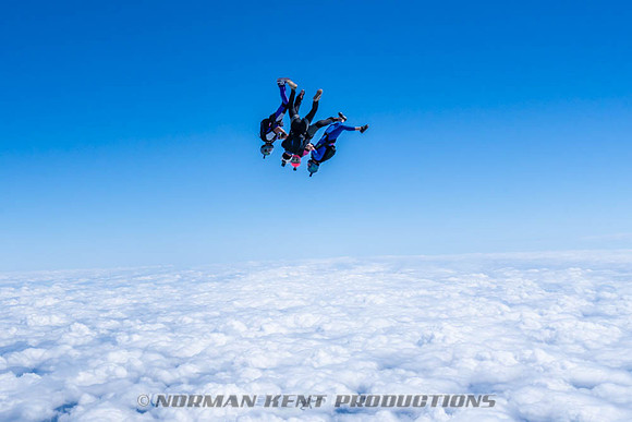 NKP-Flamingo Fest 2026-NKP09100