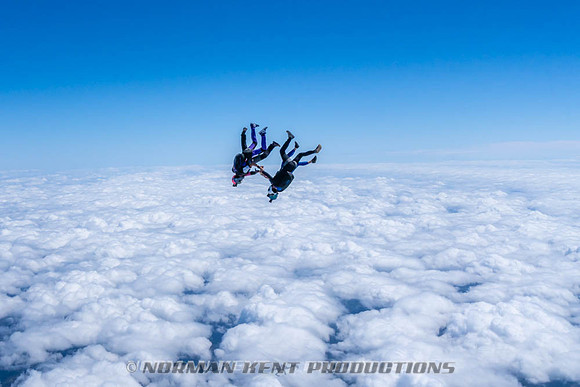 NKP-Flamingo Fest 2026-NKP09104