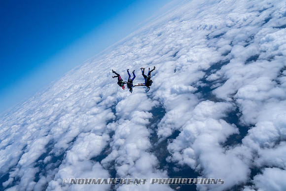 NKP-Flamingo Fest 2026-NKP09106