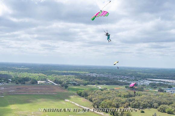 NKP-Flamingo Fest 2026-NKP09169