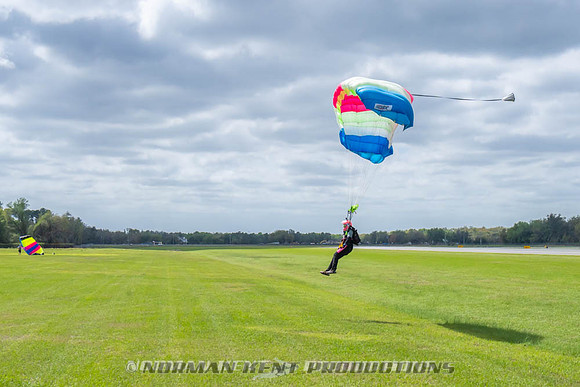 NKP-Flamingo Fest 2026-NKP09179
