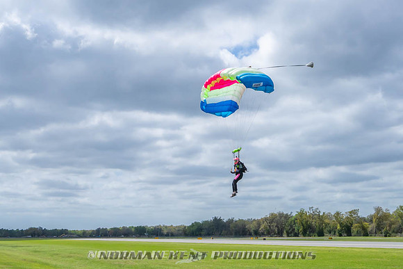 NKP-Flamingo Fest 2026-NKP09178