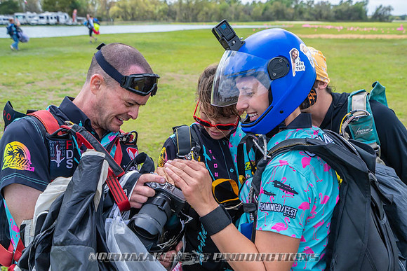 NKP-Flamingo Fest 2026-NKP09187