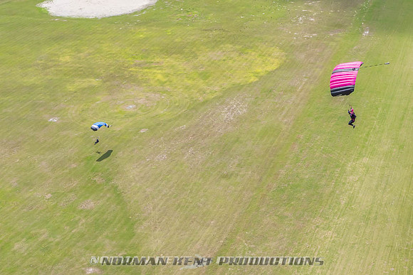 NKP-Flamingo Fest 2026-NKP09177