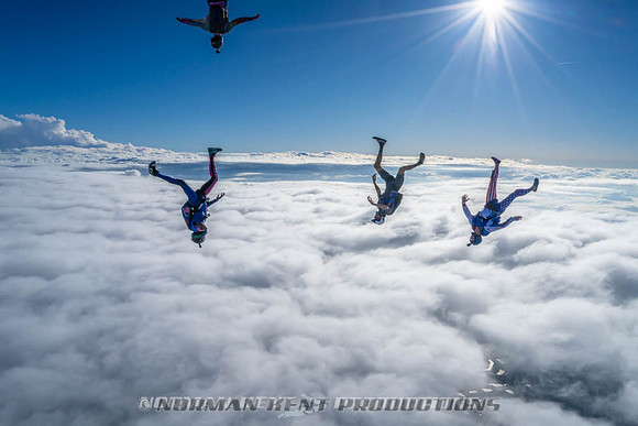 NKP-Flamingo Fest 2026-NKP09253