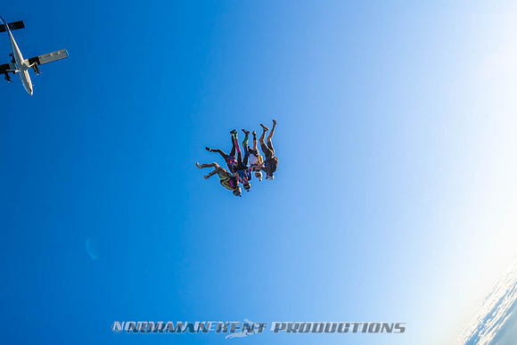 NKP-Flamingo Fest 2026-NKP09466