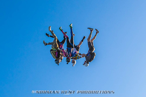 NKP-Flamingo Fest 2026-NKP09467