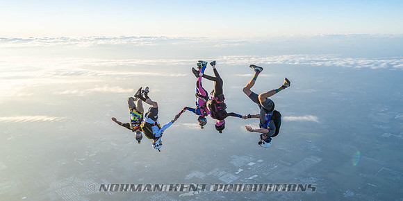 NKP-Flamingo Fest 2026-NKP09484