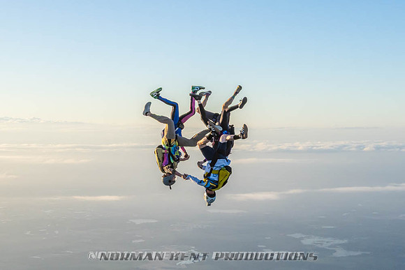 NKP-Flamingo Fest 2026-NKP09510