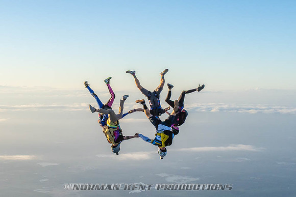NKP-Flamingo Fest 2026-NKP09507
