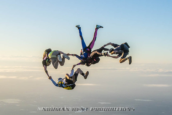 NKP-Flamingo Fest 2026-NKP09516