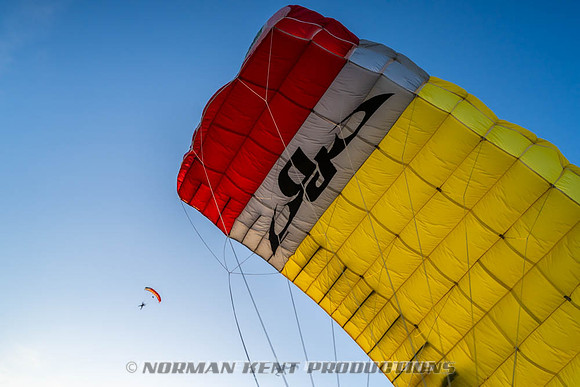 NKP-Flamingo Fest 2026-NKP09546