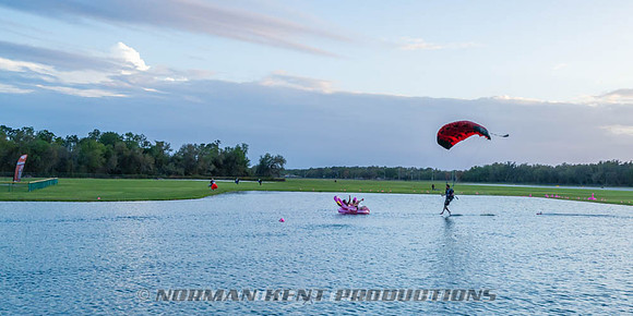 NKP-Flamingo Fest 2026-NKP09570