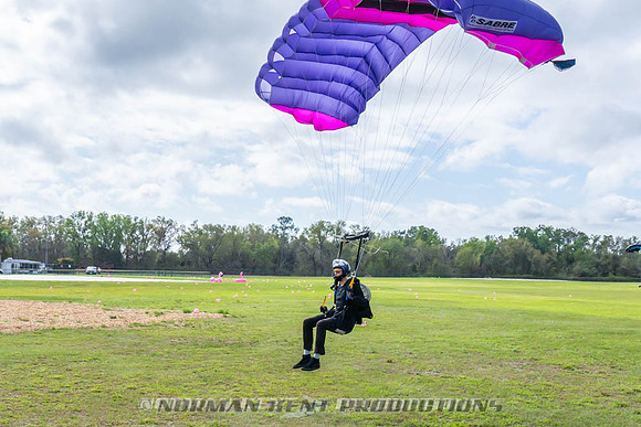 NKP-Flamingo Fest 2026-NKP09638