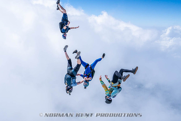 NKP-Flamingo Fest 2026-NKP09767