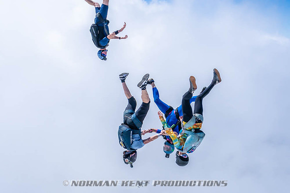 NKP-Flamingo Fest 2026-NKP09768
