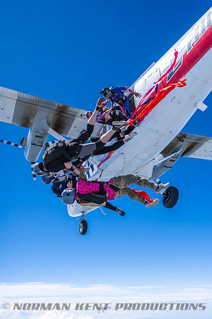 NKP-Flamingo Fest 2026-NKP09890