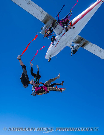 NKP-Flamingo Fest 2026-NKP09892
