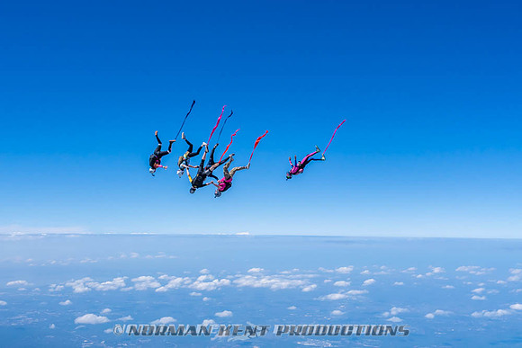 NKP-Flamingo Fest 2026-NKP09901