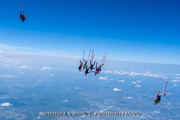 NKP-Flamingo Fest 2026-NKP09908
