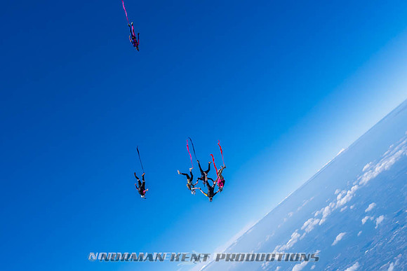 NKP-Flamingo Fest 2026-NKP09897