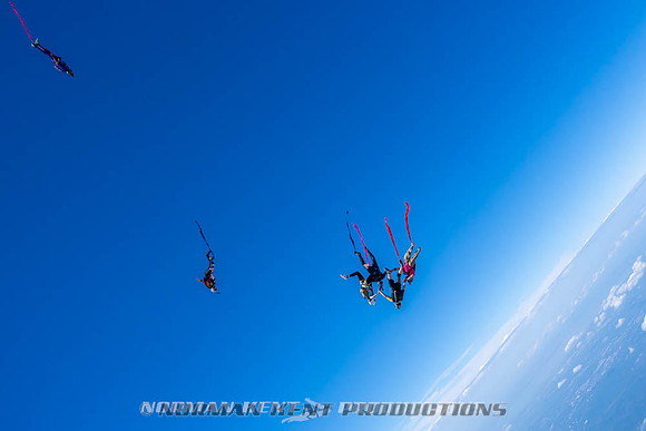 NKP-Flamingo Fest 2026-NKP09896