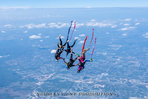 NKP-Flamingo Fest 2026-NKP09905