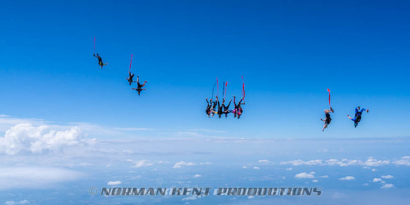 NKP-Flamingo Fest 2026-NKP09922