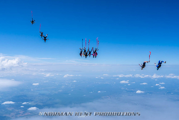NKP-Flamingo Fest 2026-NKP09919