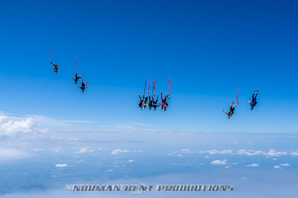 NKP-Flamingo Fest 2026-NKP09923