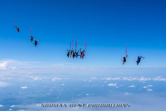 NKP-Flamingo Fest 2026-NKP09921