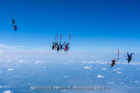 NKP-Flamingo Fest 2026-NKP09915