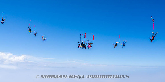 NKP-Flamingo Fest 2026-NKP09928