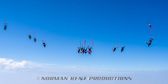 NKP-Flamingo Fest 2026-NKP09929