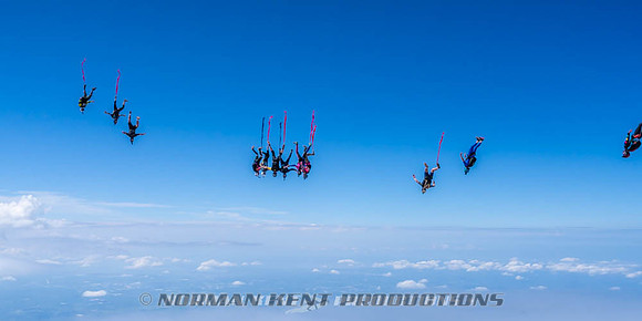 NKP-Flamingo Fest 2026-NKP09925