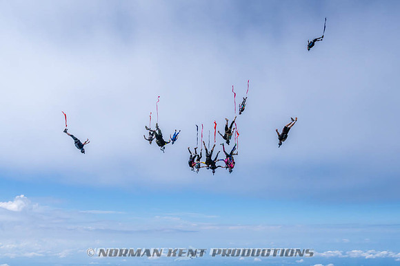 NKP-Flamingo Fest 2026-NKP09940
