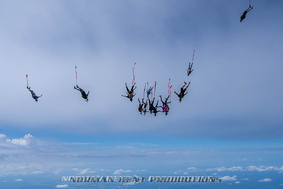 NKP-Flamingo Fest 2026-NKP09938