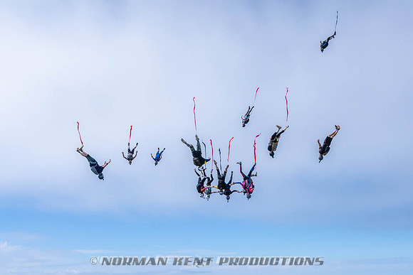 NKP-Flamingo Fest 2026-NKP09941