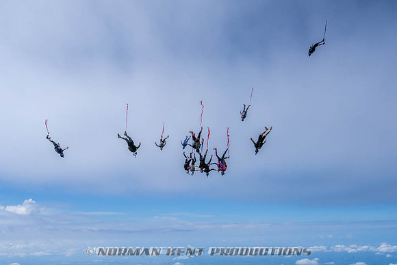 NKP-Flamingo Fest 2026-NKP09939